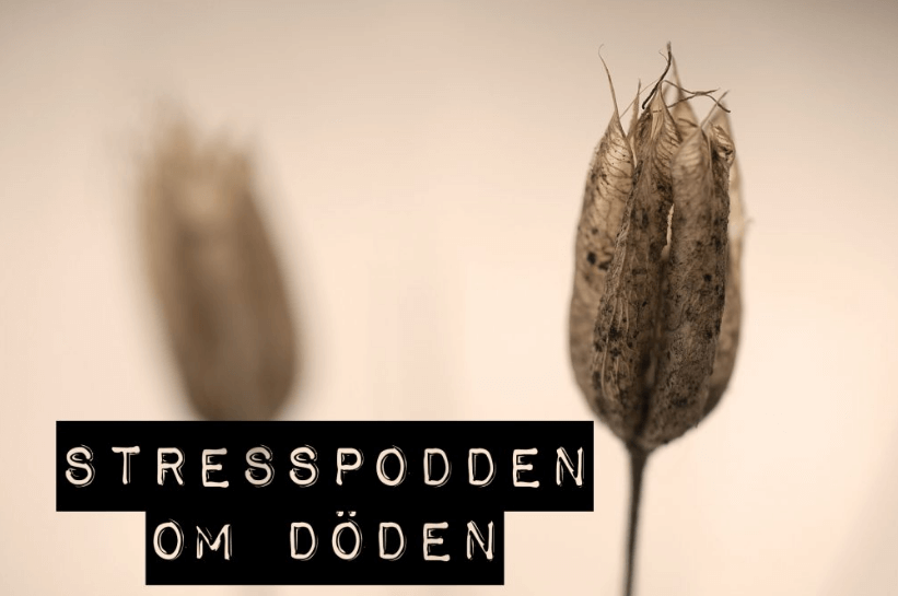 32.Stresspodden-om-döden-C