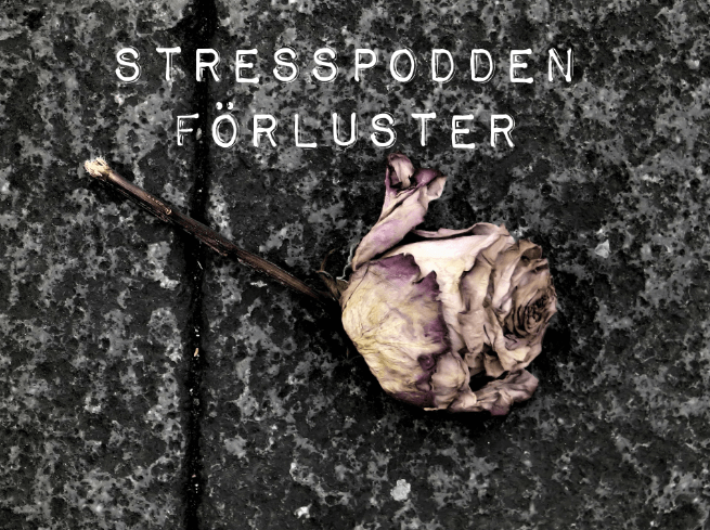 7.Stresspodden-förluster